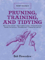 Pruning, Training, and Tidying