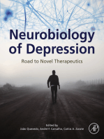 Neurobiology of Depression: Road to Novel Therapeutics
