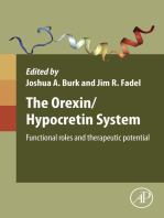 The Orexin/Hypocretin System: Functional Roles and Therapeutic Potential