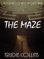 The Maze