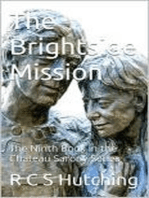 The Brightside Mission