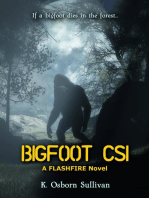 Bigfoot CSI