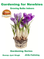 Gardening for Newbies: Growing Bulbs Indoors