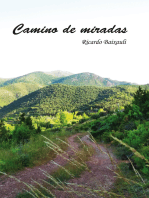 Camino de miradas