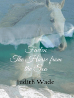 Faelen, The Horse from the Sea