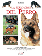 La educación del Perro