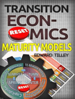 Maturity Models - Transition Economics