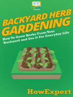 Backyard Herb Gardening: How To Grow Herbs From Your Backyard and Use It For Everyday Life