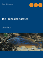 Die Fauna der Nordsee: Chordata