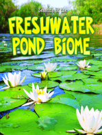 Seasons Of The Freshwater Pond Biome