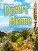 Seasons Of The Desert Biome