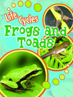 Frogs and Toads