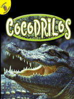 Cocodrilos: Crocodiles