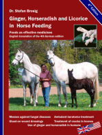 Ginger, horseradish and licorice in horse feeding: Foods as effective medicines