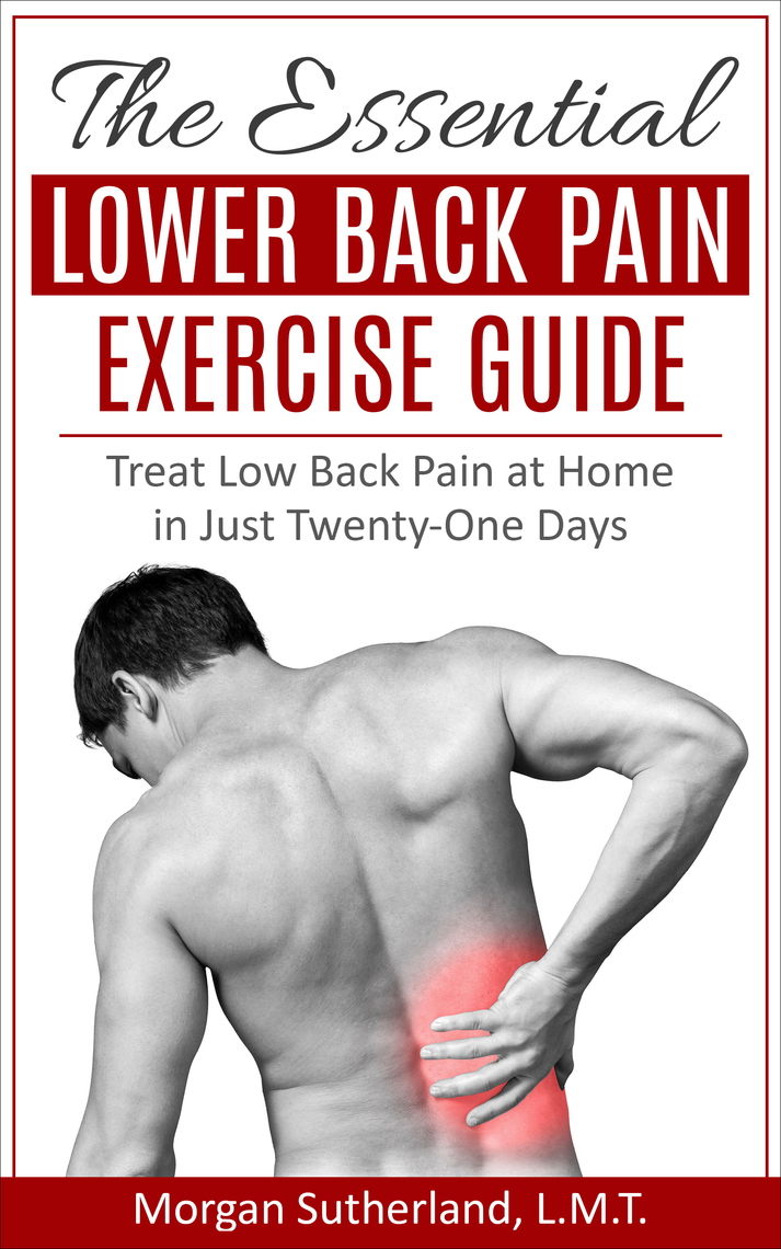 The Essential Lower Back Pain Exercise Guide: Treat Low Back Pain at ...
