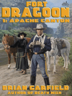 Fort Dragoon 1: Apache Canyon