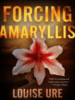 Forcing Amaryllis