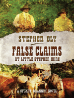 False Claims at the Little Stephen Mine
