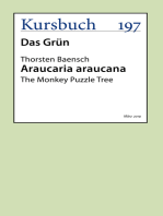 Araucaria Araucana: The Monkey Puzzle Tree