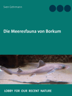 Die Meeresfauna von Borkum: Was lebt im Meer rund um die Insel?