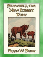 SKEWBALD - The New Forest Pony: The Illustrated Adventures of Skewbald the Pony