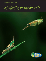 Los insectos en movimiento