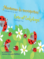 ¡Montones de mariquitas!/Lots of Ladybugs!
