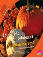 La cosecha de calabazas/Pumpkin Harvest