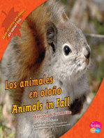 Los animales en otoño/Animals in Fall