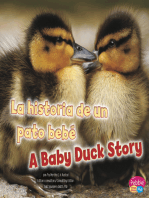 La historia de un pato bebé/A Baby Duck Story