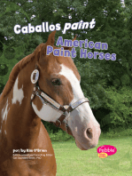 Caballos paint/American Paint Horses