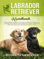 The Labrador Retriever Handbook: The Complete Guide To Choosing, Training, And Caring Your Labrador For Keeping Your Companion Healthy, Happy, And Well-Behaved From Puppyhood To Senior Years