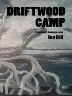 Driftwood Camp