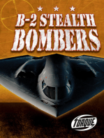 B-2 Stealth Bombers