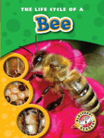 Life Cycle of a Bee, The