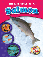 Life Cycle of a Salmon, The
