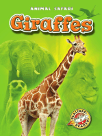 Giraffes