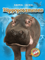 Hippopotamuses