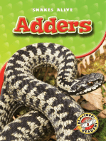 Adders