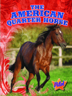 American Quarter Horse, The