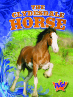 Clydesdale Horse, The