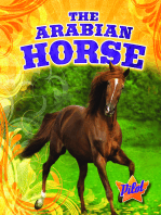 Arabian Horse, The