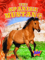 Spanish Mustang, The
