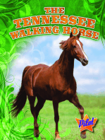 Tennessee Walking Horse, The