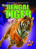 Bengal Tiger, The