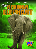 African Elephant, The