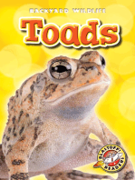 Toads