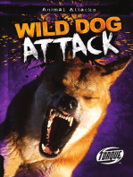 Wild Dog Attack
