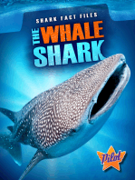 The Whale Shark