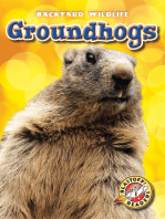 Groundhogs